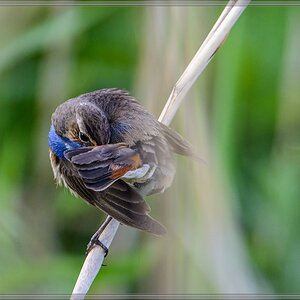 20140531 8818 [NIKON D7100] 600 mm,1 400 Sek. bei ƒ   8,0