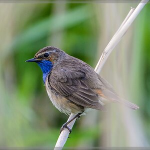 20140531 8814 [NIKON D7100] 600 mm,1 400 Sek. bei ƒ   8,0