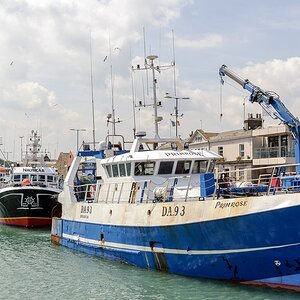 TZ DSC 5446