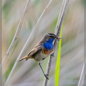 20140531 8855 [NIKON D7100] 600 mm,1 400 Sek. bei ƒ   8,0