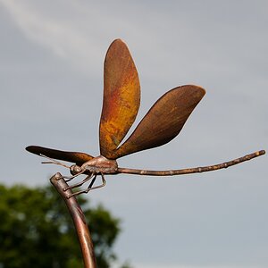 Libelle