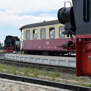 610 0664 Umsetzen