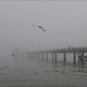 comp Usedom März 2009 3003