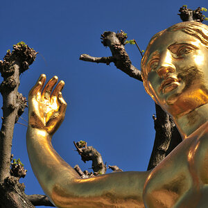 Herrenhausen Gold II