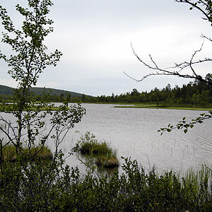 See in Finland