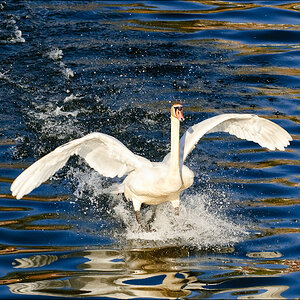 20090416 JW 080