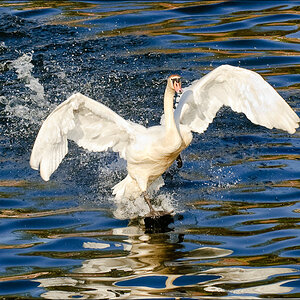 20090416 JW 079