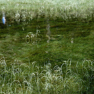 Grüner See - Steiermark (Ö) 2008
