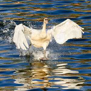 20090416 JW 078