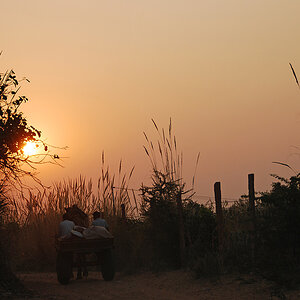 Pushkar Kameltaxi