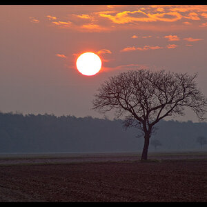 Sonnenaufgang 3
