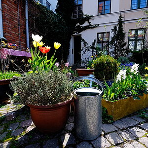 20090414 05 Rostock