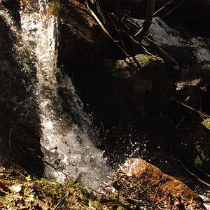 DSC 2769
