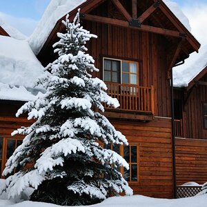 Galcier House Resort Revelstoke