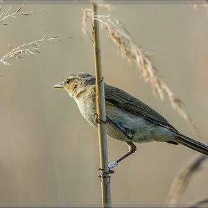 20140531 8840 [NIKON D7100] 600 mm,1 800 Sek. bei ƒ   8,0