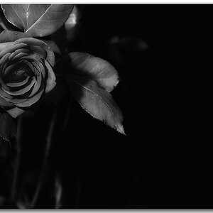 KR DSC 0764 1