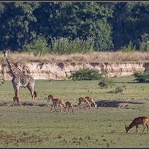 Sambia 1392