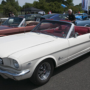 DSC7251
Ford Mustang Treffen, Pfingsten 2014, Köln