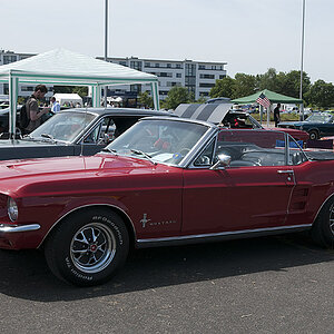 DSC7263
Ford Mustang Treffen, Pfingsten 2014, Köln