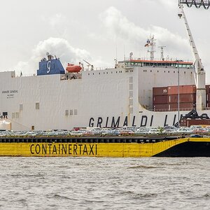 TZ ZIM 2623