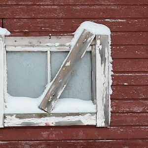 s411 Fenster 5425