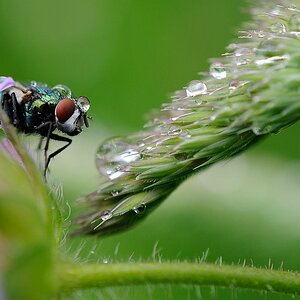 Hier wird dir der Kopf gewaschen...