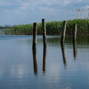 spiegelung pfähle