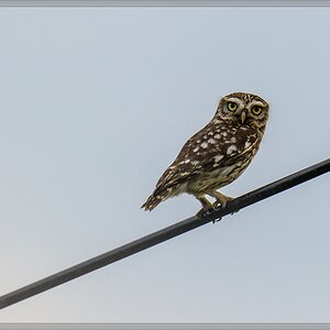 20140625 0075 [NIKON D7100] 400 mm,1 320 Sek. bei ƒ   5,6