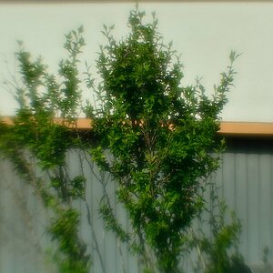DSC 8629