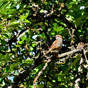 DSC 1688 khg