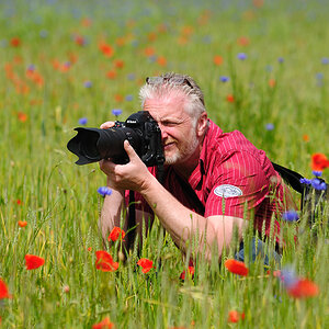 Bernd im Kornfeld