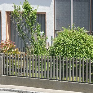 DSC 3676