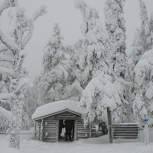 s520 Hütte am Eingang vom Riistuni Nationalpark 5641  1