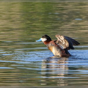20140602 9285 [NIKON D7100] 850 mm,1 1000 Sek. bei ƒ   6,3
