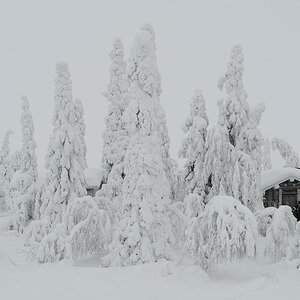 s548 Hütte 5969  1