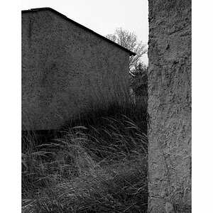 heiko2