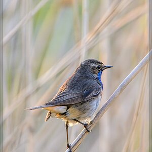 20140602 9401 [NIKON D7100] 850 mm,1 400 Sek. bei ƒ   5,6