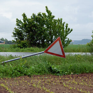 1051024schilder