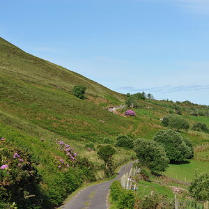 irland030