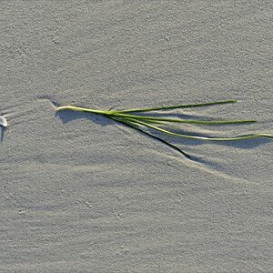 2014 05 29 20 22 29   Zingst