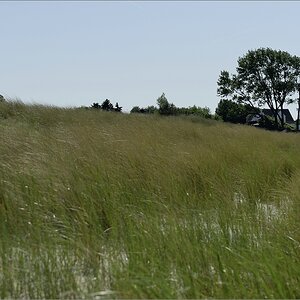 2014 05 30 15 03 28   Ahrenshoop