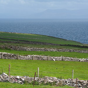irland024