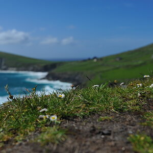 irland013