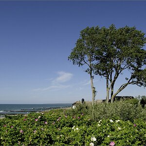 2014 05 30 16 12 26   Ahrenshoop