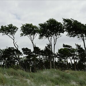 2014 05 31 13 54 26   Darßer Ort
