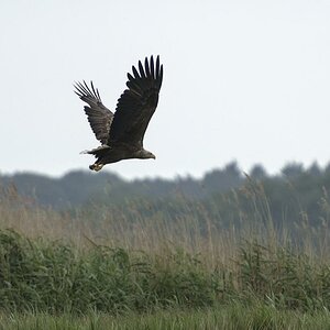 Abflug