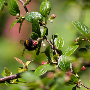 P6020290 2
