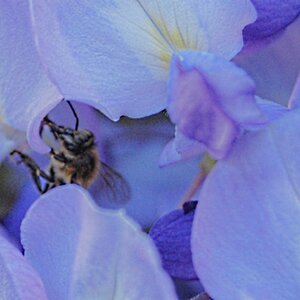 Versteckt