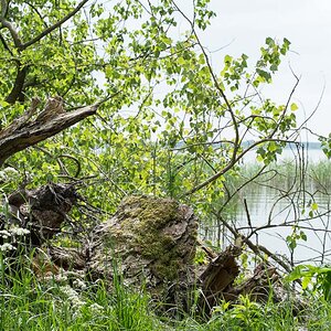 NF Zinnowitz2014 7