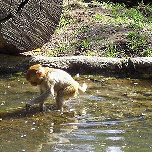 Wasserspiel